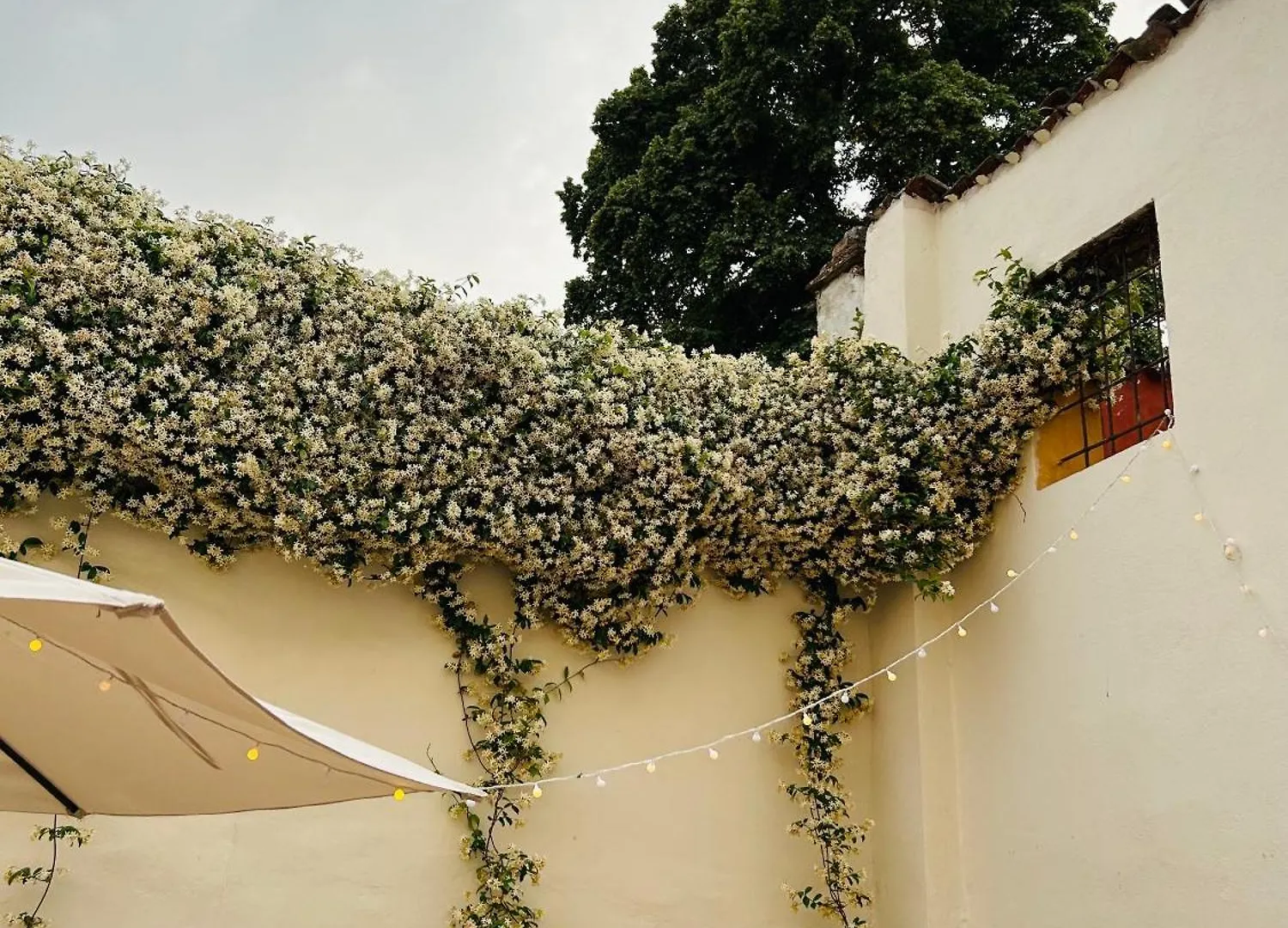 Guest house Dependance La Corte Pizzighettone Italy